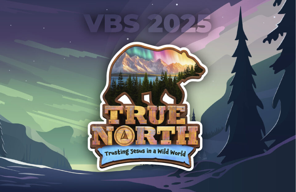 vbs-2025-graphics-web