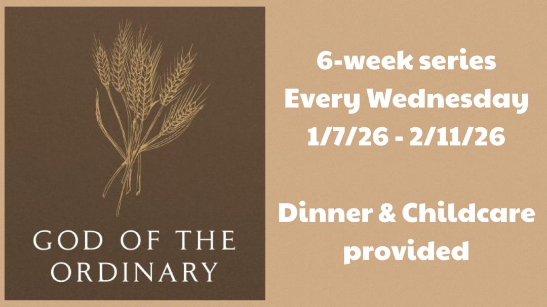 bible study ordinary